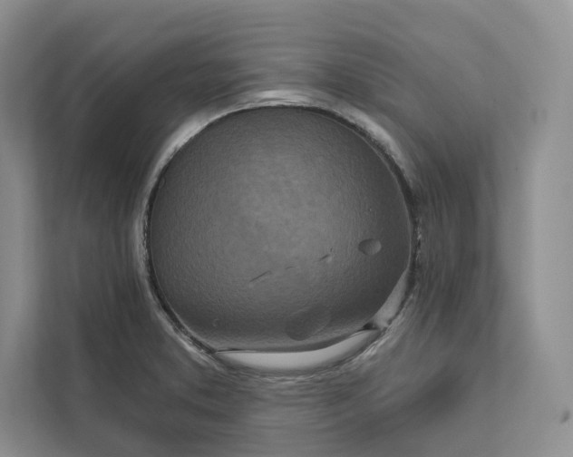 X0000111871373200908061245