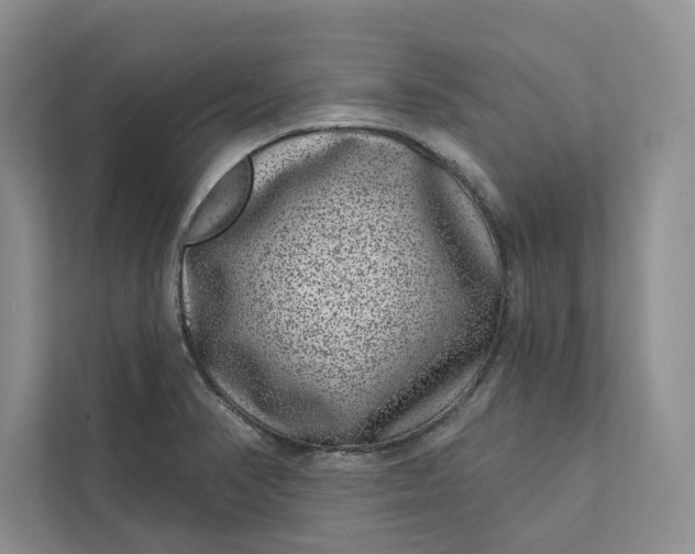 X0000111871374200908061245