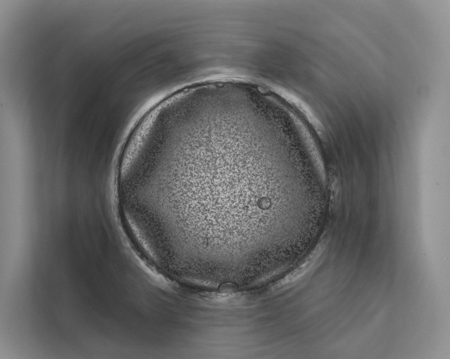 X0000111871375200908061245