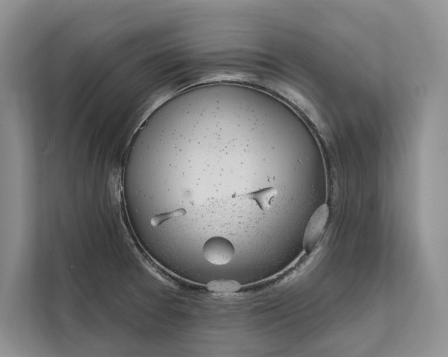 X0000111871377200908061245