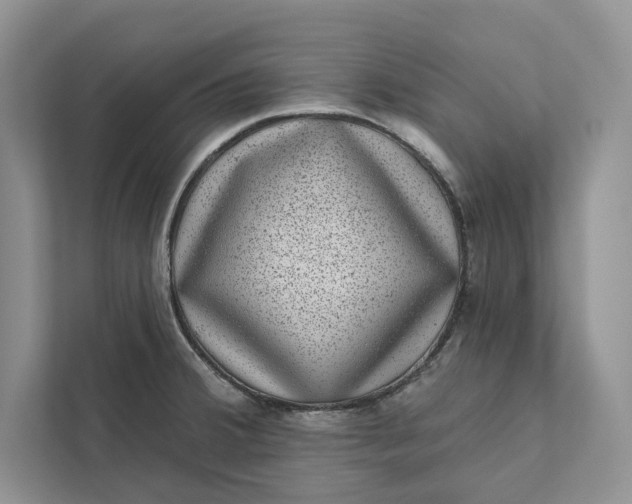 X0000111871380200908061245