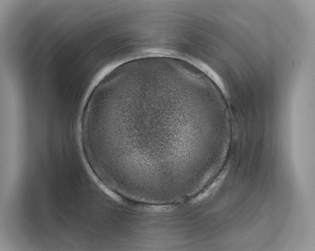 X0000111871381200908061245