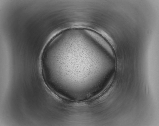 X0000111871384200908061245