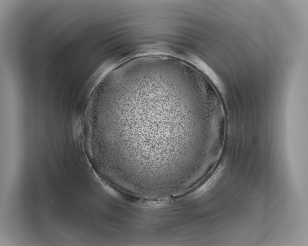 X0000111871385200908061245