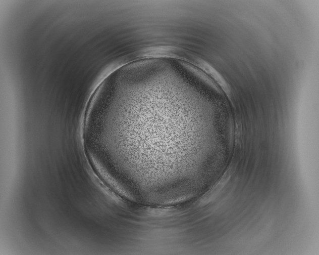 X0000111871386200908061245