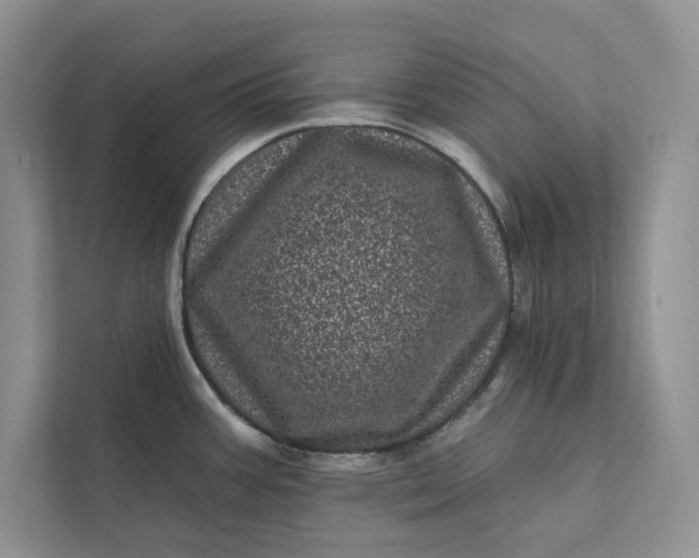 X0000111871387200908061245