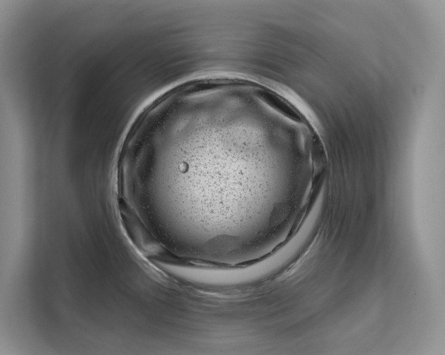 X0000111871388200908061245