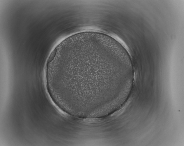 X0000111871391200908061245