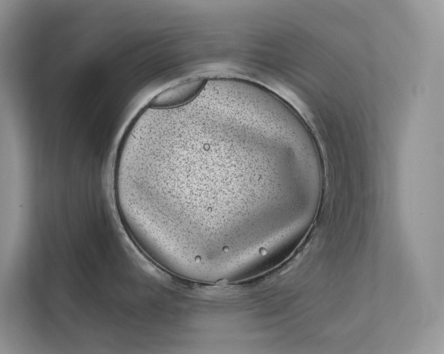 X0000111871392200908061245