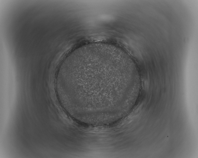 X0000111871393200908061244