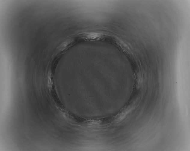 X0000111871394200908061244