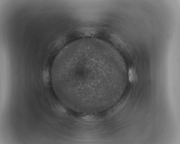 X0000111871395200908061244