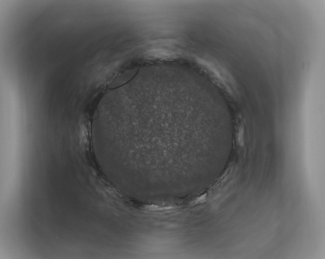 X0000111871397200908061244