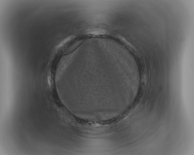 X0000111871398200908061244