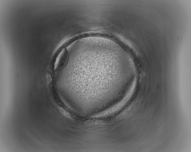 X0000111871400200908061244