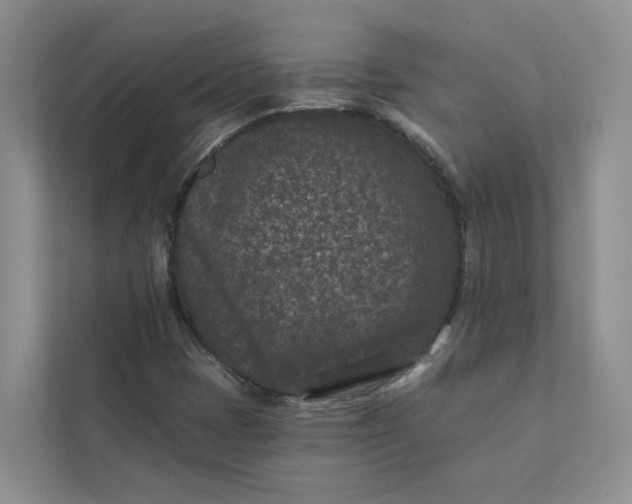 X0000111871401200908061244