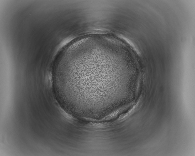 X0000111871402200908061244