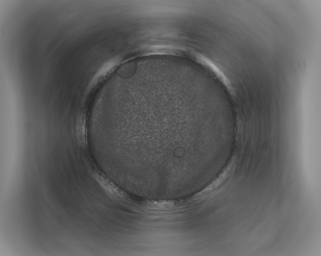 X0000111871403200908061244