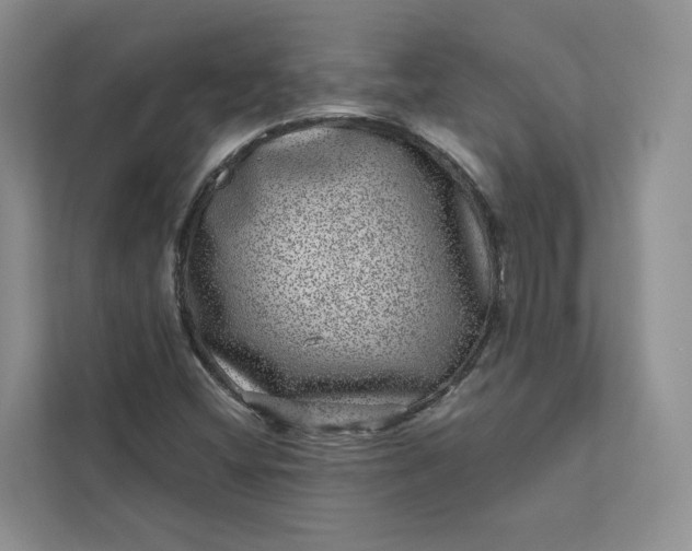 X0000111871404200908061245