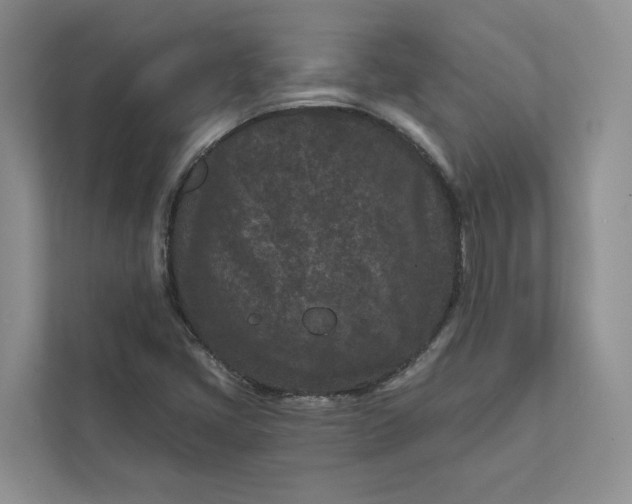 X0000111871405200908061245