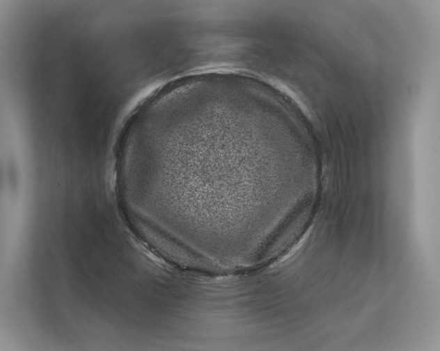 X0000111871406200908061245