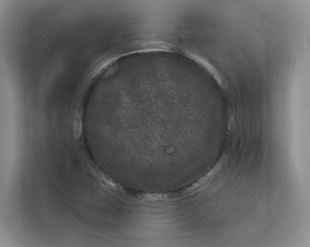 X0000111871407200908061245