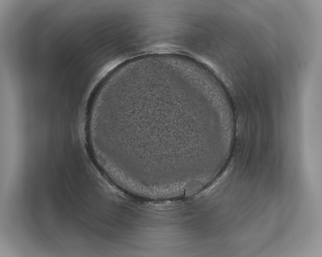 X0000111871410200908061245