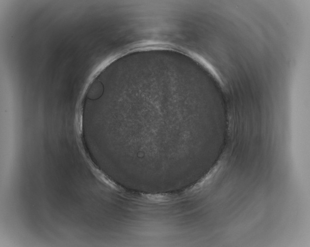 X0000111871413200908061245