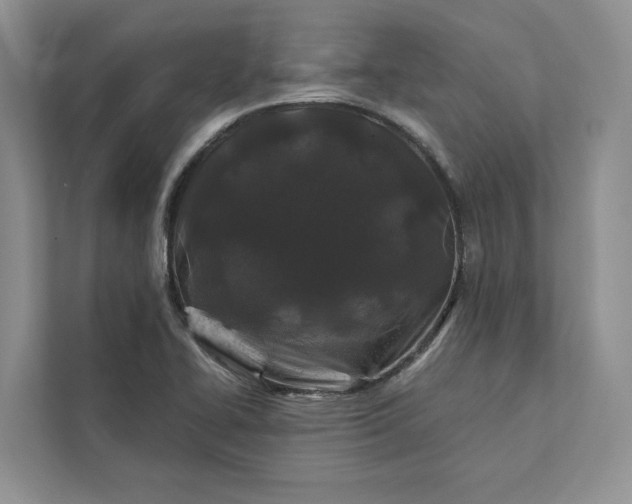 X0000111871414200908061245