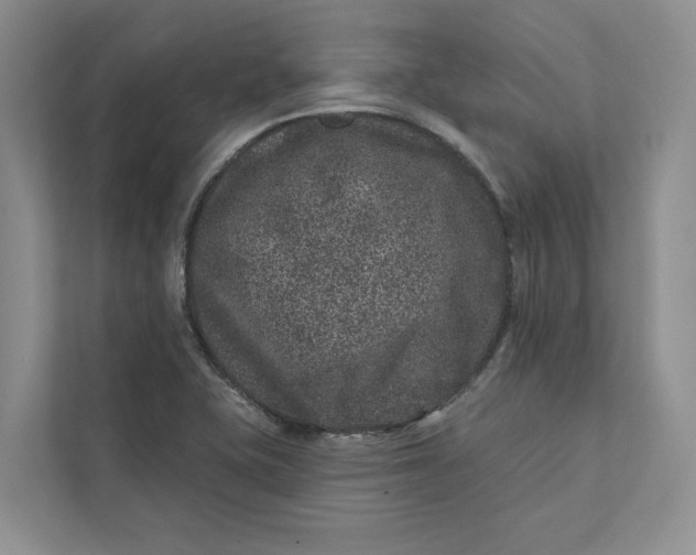 X0000111871415200908061245