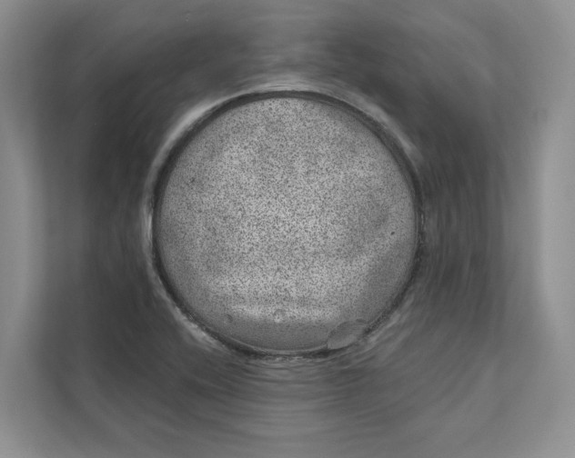 X0000111871416200908061245