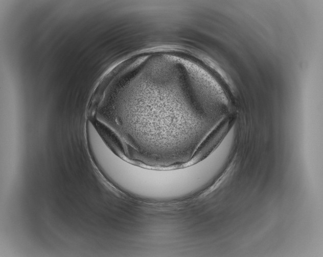 X0000111871417200908061245