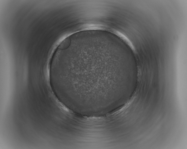 X0000111871419200908061245