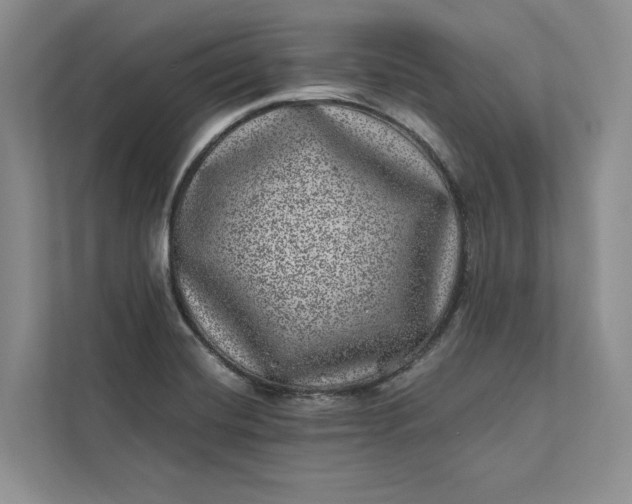 X0000111871420200908061245