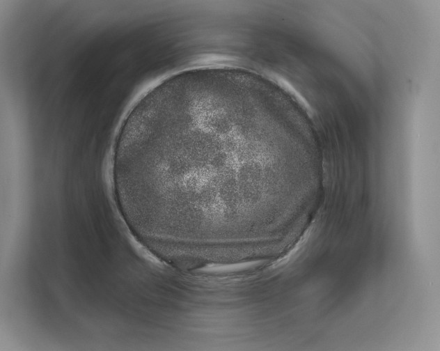 X0000111871421200908061245