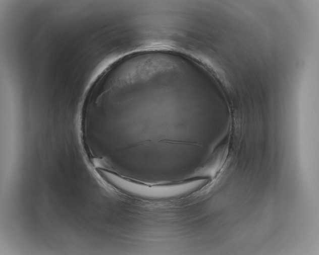 X0000111871422200908061245