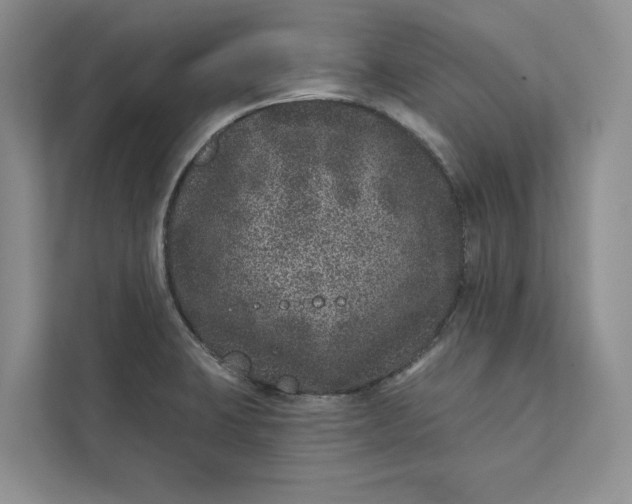 X0000111871423200908061245