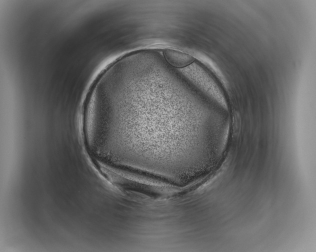 X0000111871424200908061245