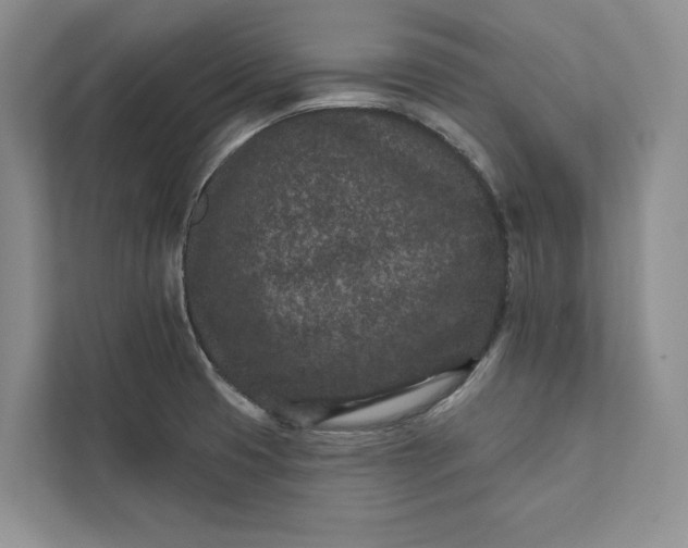 X0000111871425200908061245