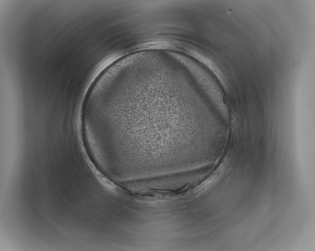 X0000111871426200908061245