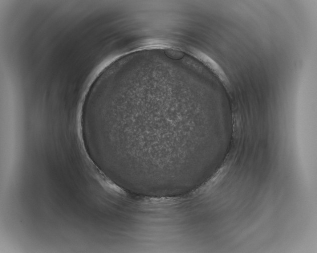 X0000111871427200908061245