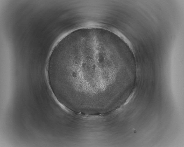 X0000111871429200908061245