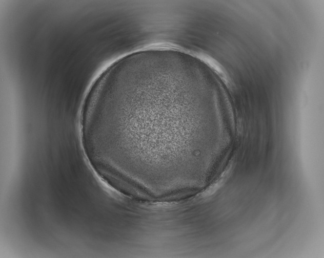 X0000111871430200908061245