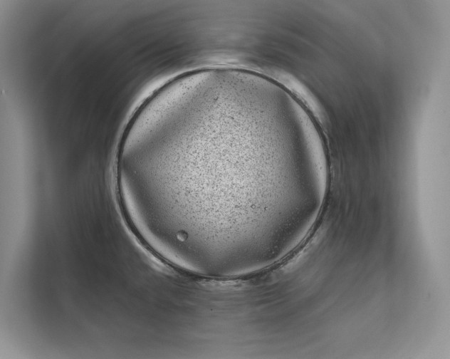 X0000111871432200908061245