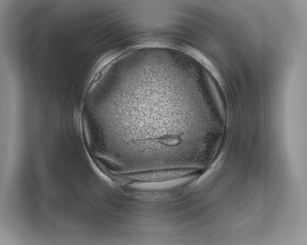 X0000111871433200908061245