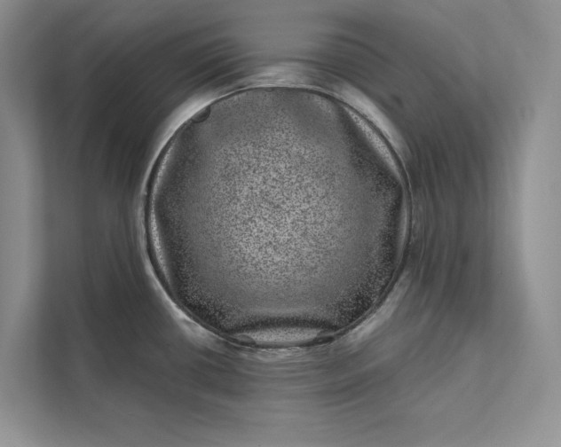 X0000111871434200908061245