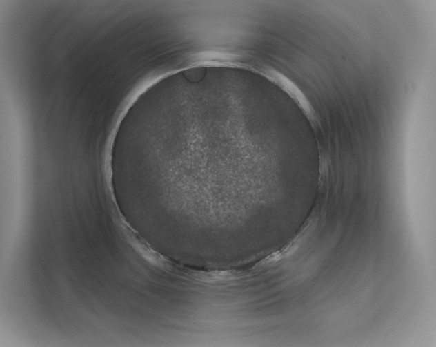 X0000111871435200908061245