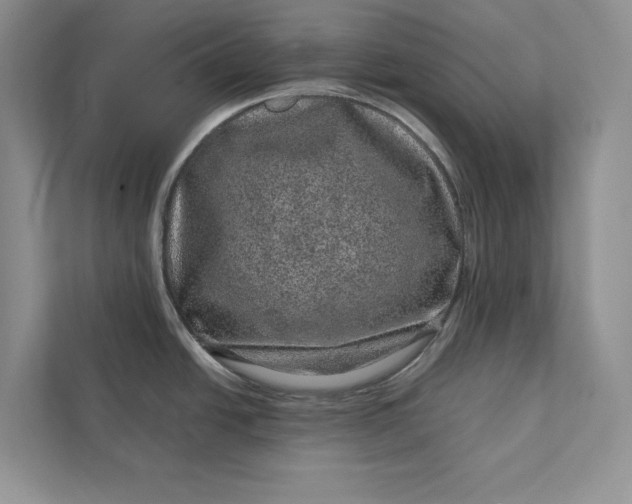 X0000111871438200908061245