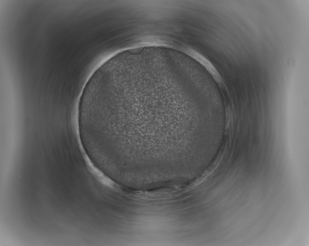 X0000111871439200908061245