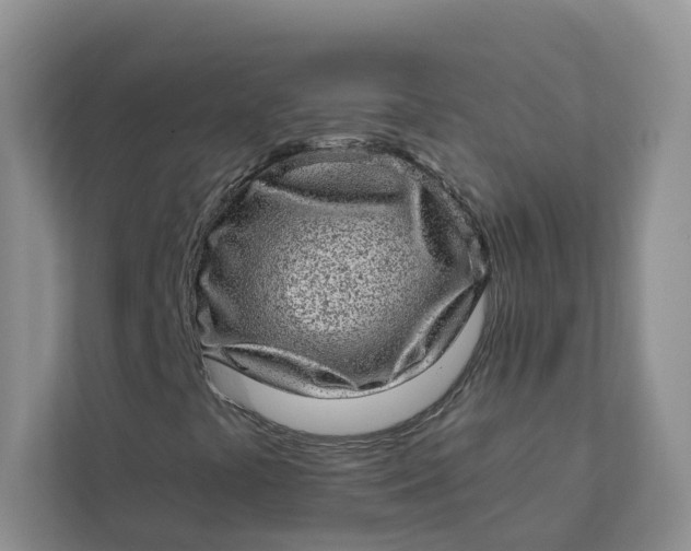 X0000111871441200908061244